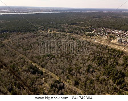 Forest In The Novosibirsk City,siberia With Diffrent Trees And Plants With Some Buildings In It. Str