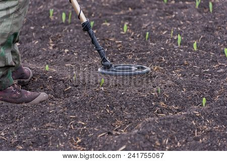 Man To Seek Treasure On Earth With A Metal Detector, Walks The Field, Squeak Gold