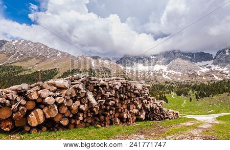 Mountains Landscape With Pile Of Logs In The Foreground. Plateau Of Montasio, Alps