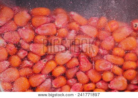 Chemically Treated Corn Maize Seed In Seeding Machine, Close Up Detail With Selective Focus