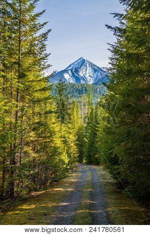 A Hiking And Mountain Biking Trail Near Slocan Lake In British Columbia, Canada