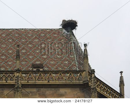 Stork´s Nest On Roof Top
