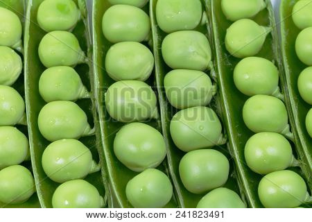 Green Peas Pods Macro Close Up Background. Harmony Of Many Peeled Pods With Peas Inside Lying On The