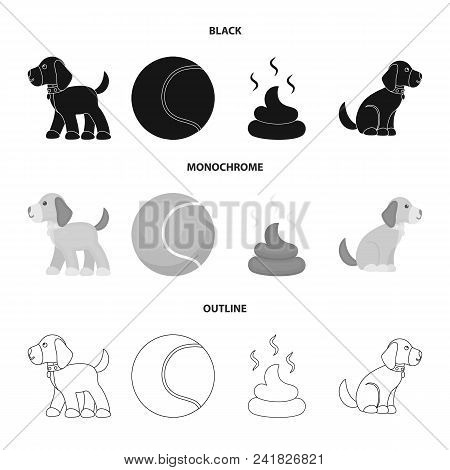 Dog Sitting, Dog Standing, Tennis Ball, Feces. Dog Set Collection Icons In Black, Monochrome, Outlin