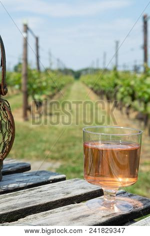 Dutch Winery, Rose Wine Tasting On Vineyard In Brabant On Outside Terrace