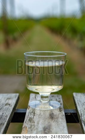 Dutch Winery, White Wine Tasting On Vineyard In Brabant On Outside Terrace