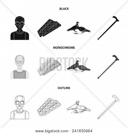 Elderly Men, Tablets, Pigeons, Walking Cane.old Age Set Collection Icons In Black, Monochrome, Outli