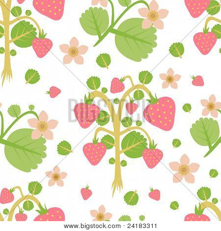 vahşi Strawberries.jpg