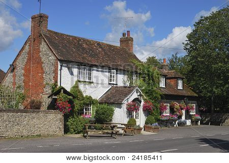 George Inn Eartham At. İNGİLTERE