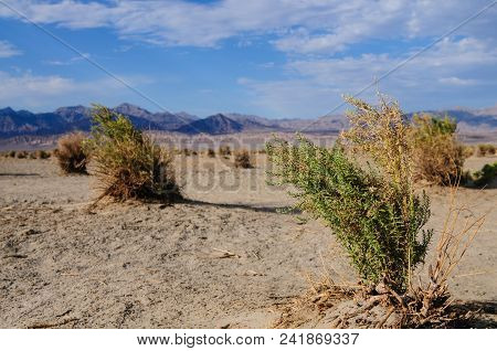 Death Vallley Landscape