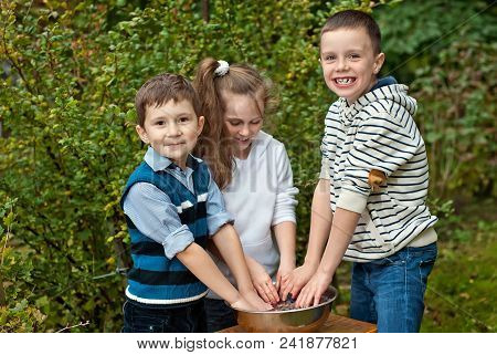 Children Squeeze Grapes With Their Hands