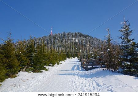 Winter Snowy View On The Highest Mountain Called Lysa Hora, Beskydy, Czech Republic