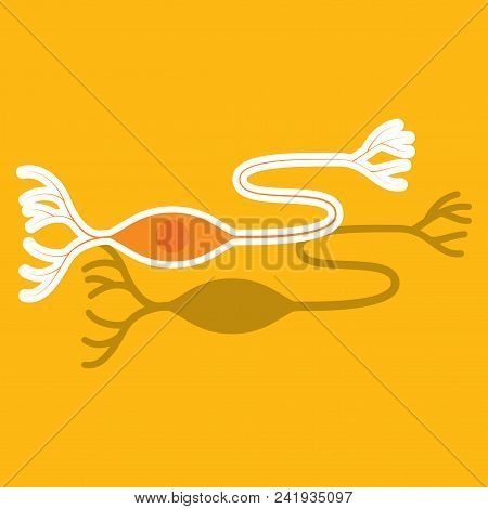 Education Chart Of Biology For Nerve Cell Diagram. Sticker Illustration