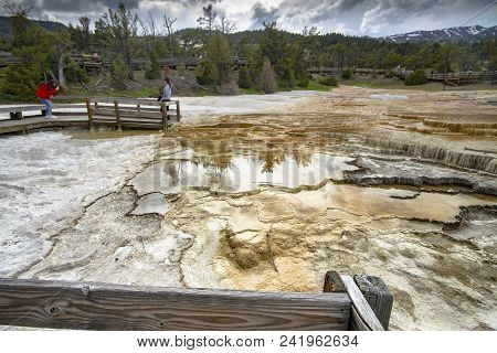 Mamoth Hot Springs In Yellowstone National Park
