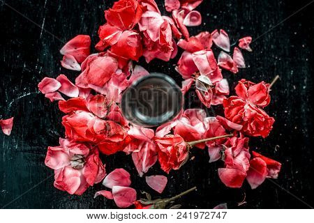 Medicinal And Floral Essence Of Rose Or Gulab Popularly Known As Gulab Jal Or Gulab Ka Pani In Asia 