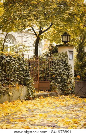 Autumn City Garden Entrance, Fallen Leaves, Toned