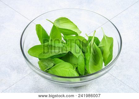 Green Fresh Homemade Basil, Spicy Herb In A Glass Bowl On A Gray Concrete Table