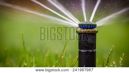 Automatic Sprinkler System Watering The Lawn On A Background Of Green Grass, Close-up