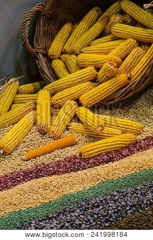 Assortment Of Corn Kernels Arranged In Vicar Basket With Decorative Cereal Seeds