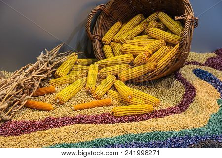 Assortment of corn kernels arranged in vicar basket with decorative cereal seeds