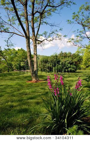 Monticello grunde