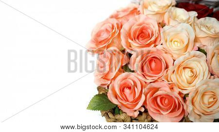 Colored Roses. Holiday flower. Wedding. 