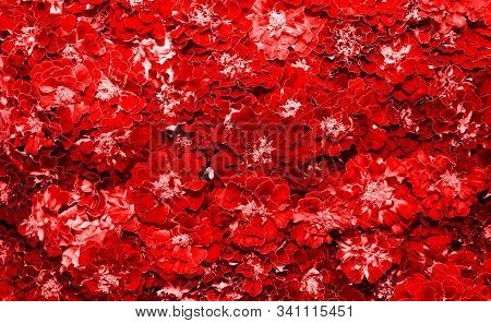 Marigold Floral Background. Blooming Tagetes Erecta Close-up.