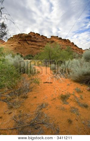 Cerca in Redrocks In Snow Canyon - Utah