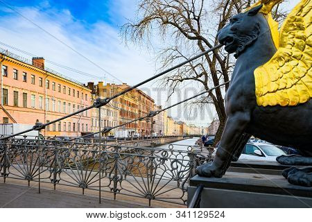 Bank Bridge Is Decorated With Figures Of Griffins. Urban View Of Saint Petersburg. Russia.