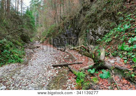 Landscape with mountain gorge in Slovenky Raj area, Slovakia