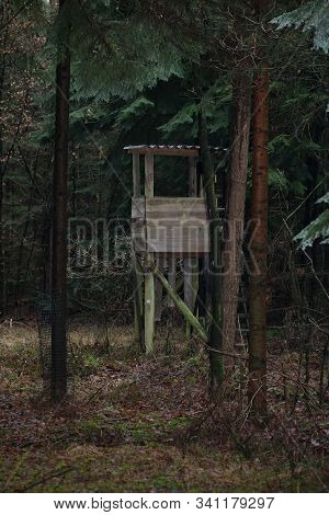 Forest Road In Wild Nature Background High Quality Fifty Megapixels Dorsten Rhade