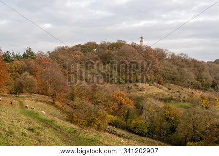 Landscape Photo Of The Admiral Hood Monument Near Butleigh In Somerset.