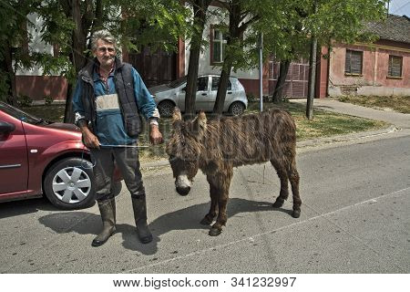 Man And Donkey