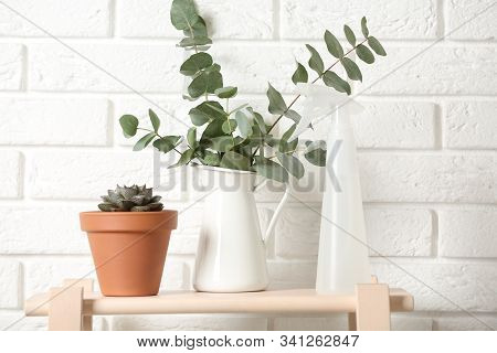 Beautiful Plants And Spray Bottle On Wooden Shelf Near Brick Wall At Home