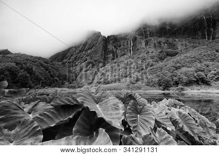 Pozo da Alagoinha, also known as Pozo Ribeira do Ferreiro, Azores, Portugal, Europe