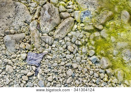 Muddy Gravel Surface Of The Dried Up Stream In Late Summer,high Dynamic Range Image