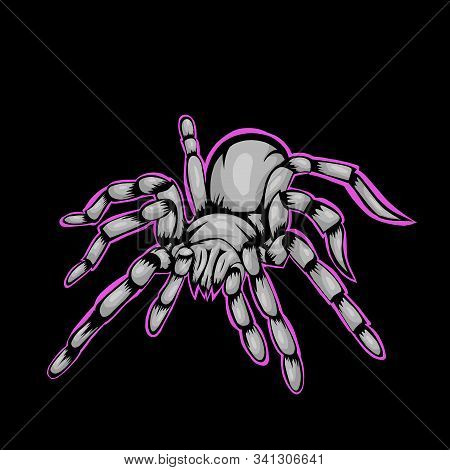 Simple Design Of Tarantula With Line Pink On Black Background