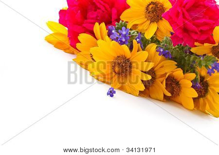 Daisies สีเหลือง