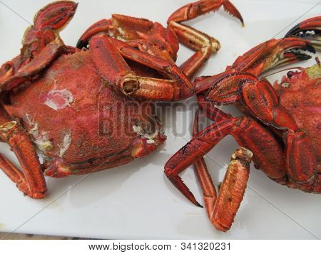 Delicious Seafood Of All Kinds Of Very Good Quality