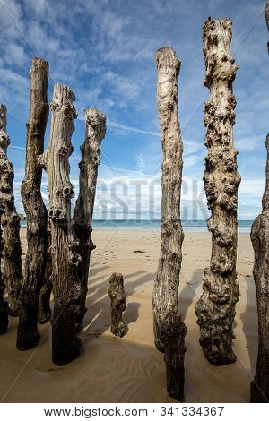 Big Breakwater, 3000 Trunks To Defend The City From The Tides, Plage De L Eventail Beach In Saint-ma