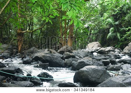 A River Coming Out From A Dense Forest In Goa,india