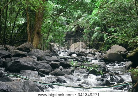 A River Stream Moving Fast Between A Forest In Goa,india