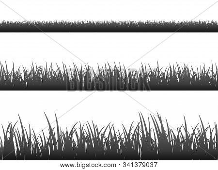 Grass Meadow Border Vector Pattern. Spring Or Summer Plant Field Lawn. Black And White Grass Backgro