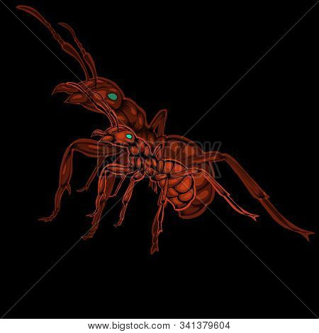 Simple Design Of Illustration Red Ants With Silhouette Ant On Black Background.