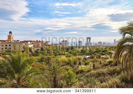 Panorama Of Benidorm With Palm Fields, The Roofs Of A Traditional Church And Skyscrapers And The Sea