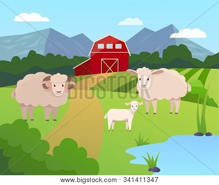 Vector Illustration Of A Farm With Green Field And Blue Lake, Garner And Trees With Sheep Family On 