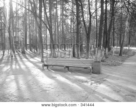 Botsad