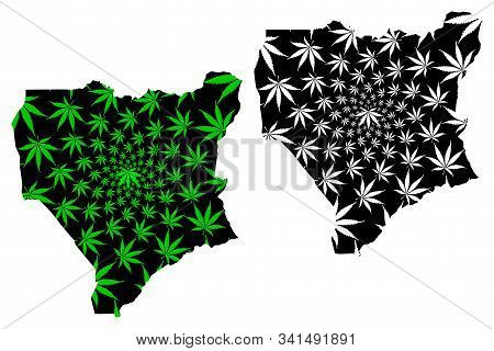Niassa Province (provinces Of Mozambique, Republic Of Mozambique) Map Is Designed Cannabis Leaf Gree