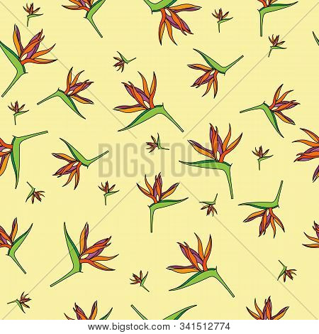 Seamless Pattern With Strelitzia Reginae Flowers, For Textiles, Packaging, Backgrounds, Embossing An