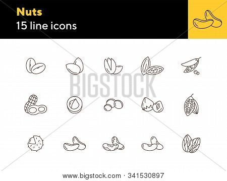 Nuts Icons. Set Of Line Icons On White Background. Cocoa Bean, Brazil Nuts, Soy Nuts. Dieting Concep